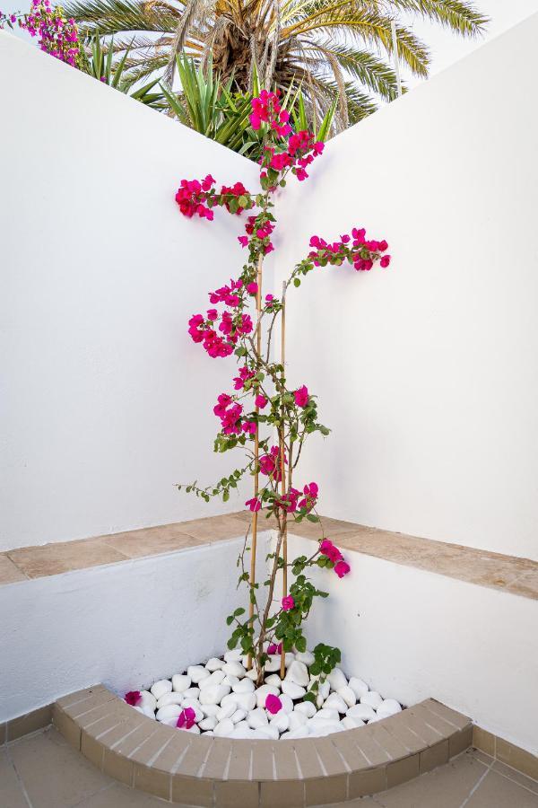 Ds Traditional Villas Santorini Island Karterados  Bagian luar foto