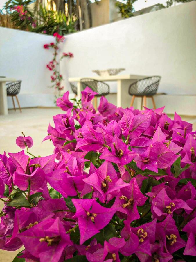 Ds Traditional Villas Santorini Island Karterados  Bagian luar foto